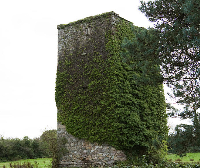 Barntown Castle Wexford, Republic of Ireland, Ireland